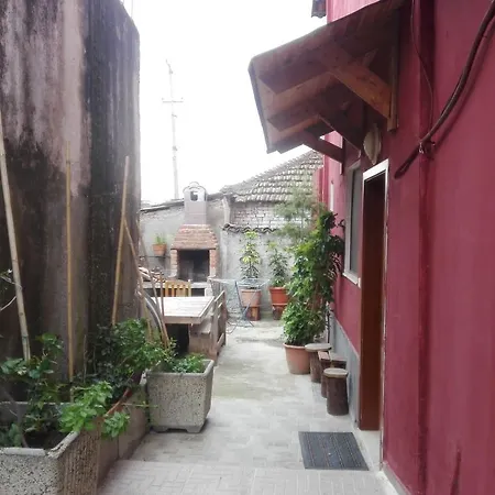 Lukas Guest house Divjake